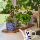 1815 Pacific Small Planter