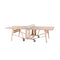 RS Monochrome Folding Ping Pong Table  option Peach Rose