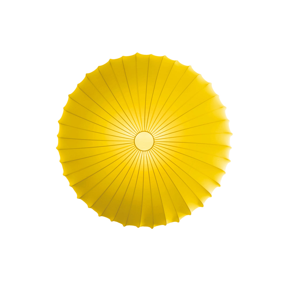 Muse Wall/Ceiling Light