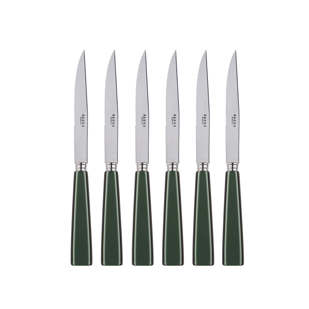 Icone Steak Knife (Set of 6)