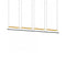 Lamina Dorada LED Pendant Light  option 4 Modules