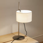 TMD Table Lamp