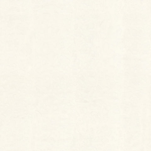 Dolce & Gabbana Leopardo Dolce Wallpaper Sample Swatch