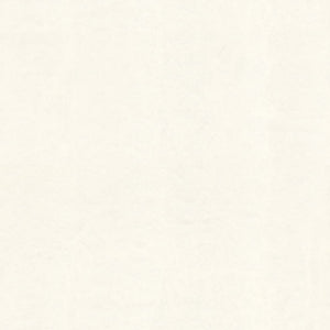 Dolce & Gabbana Leopardo Dolce Wallpaper