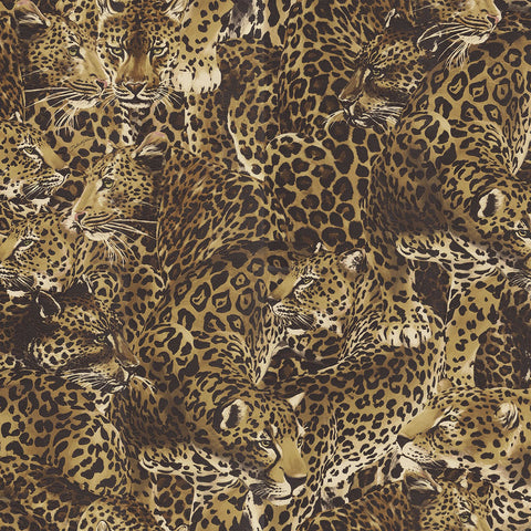 Dolce & Gabbana Leopardo Incognito Wallpaper Sample Swatch