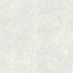 Tigre Sample