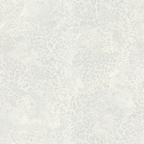 Dolce & Gabbana Leopardo Incognito Wallpaper
