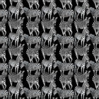 Dolce & Gabbana Multi Zebra Mural Wallpaper