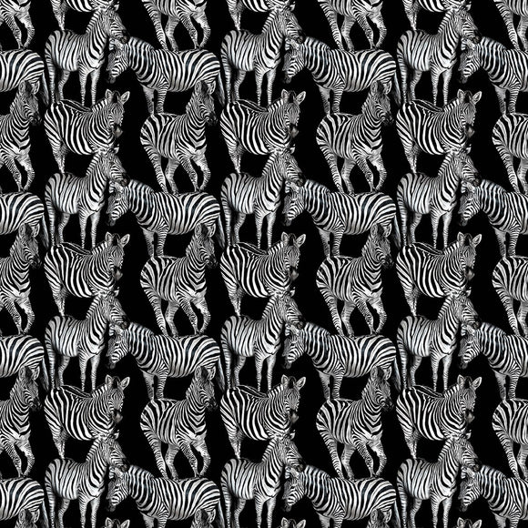 Dolce & Gabbana Multi Zebra Mural Wallpaper