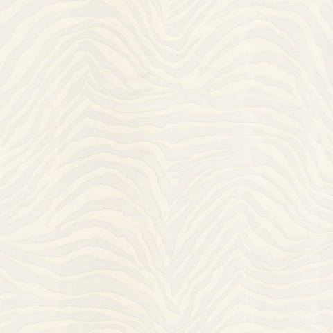 Dolce & Gabbana Zebra Dolce Wallpaper