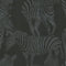 Dolce & Gabbana Zebra Romance Wallpaper  option Misterioso