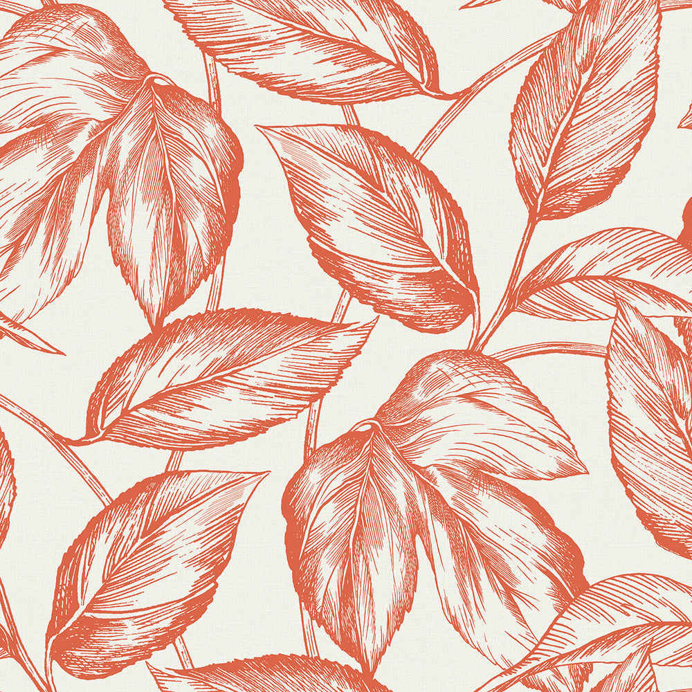 Summer House Beckett Sketched Leaves Wallpaper Sample Swatch