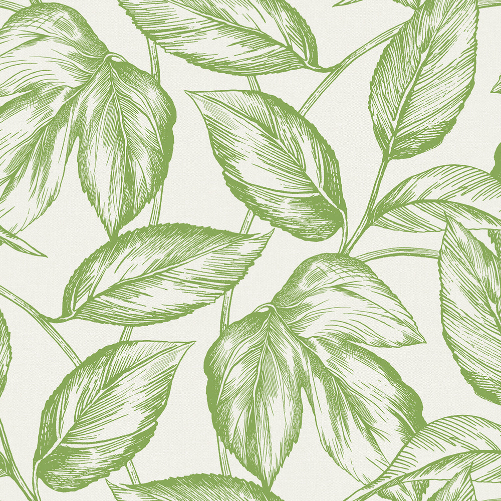 Summer House Beckett Sketched Leaves Wallpaper