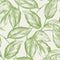 Summer House Beckett Sketched Leaves Wallpaper  option Apple Green