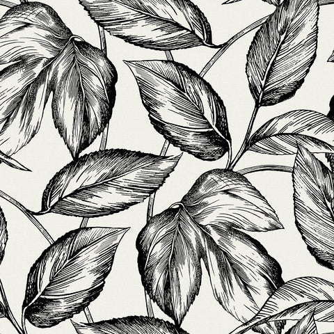 Summer House Beckett Sketched Leaves Wallpaper
