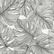 Summer House Tarra Monstera Leaf Wallpaper  option Contrasto
