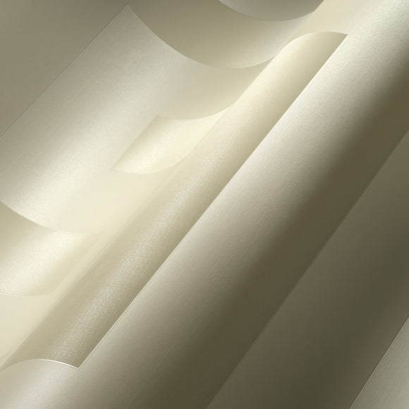 Versace Volume 5 Sphinx Wallpaper