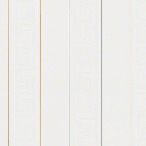 Versace Volume 5 Valor Wallpaper Sample Swatch