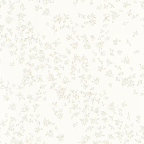 Versace Volume 5 Vesper Wallpaper