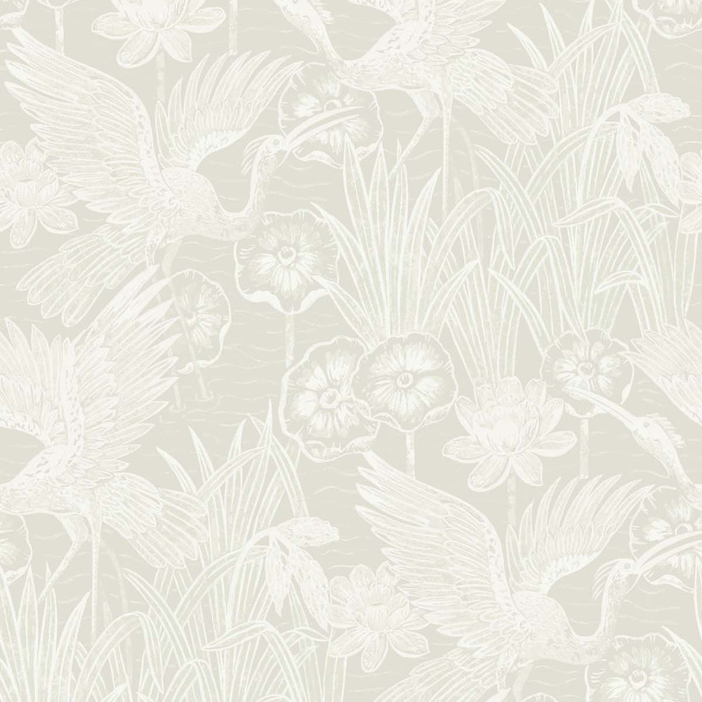 White Heron Marsh Cranes Wallpaper