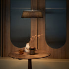 Halo LED Pendant Light