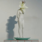 La Timida Vase