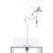 Sparrow Table Lamp with Clamp  option Cruising