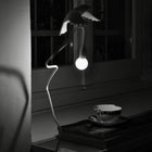 Sparrow Table Lamp with Clamp