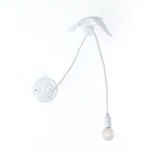 Sparrow Wall Light