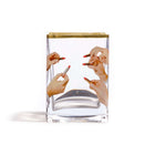 Toiletpaper Glass Vase