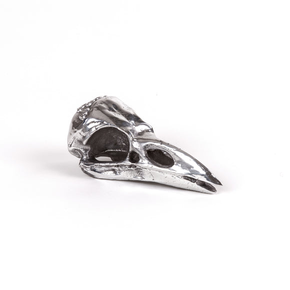 Wunderkammer Bird Skull