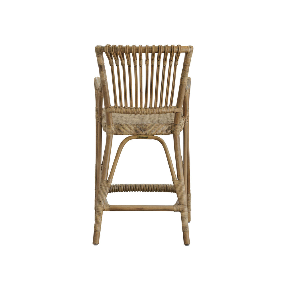Blues Bar and Counter Stool