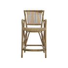 Blues Bar and Counter Stool