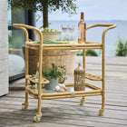 Carlo Outdoor Bar Cart/Trolley