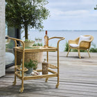 Carlo Outdoor Bar Cart/Trolley