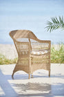 Charlot Dining Chair