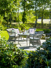Charlot Dining Chair