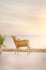 Madame Outdoor Lounge Chair