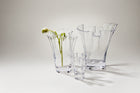 Anemone Vase