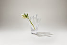 Anemone Vase