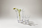 Anemone Vase