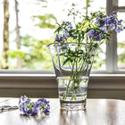 Anemone Vase