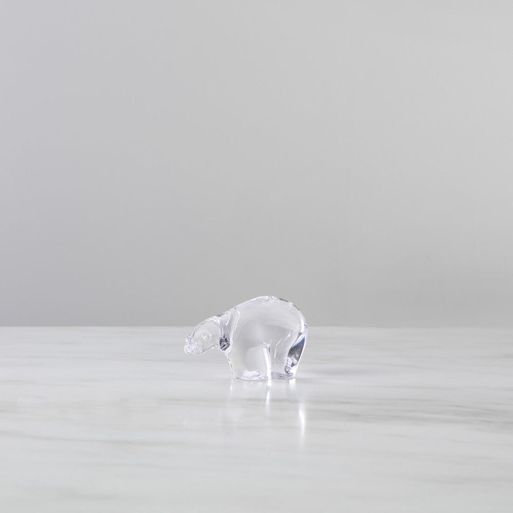 Polar Bear
