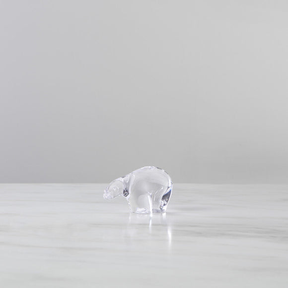 Polar Bear