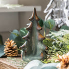 Pottery Evergreen Tree