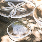 Sand Dollar Platter