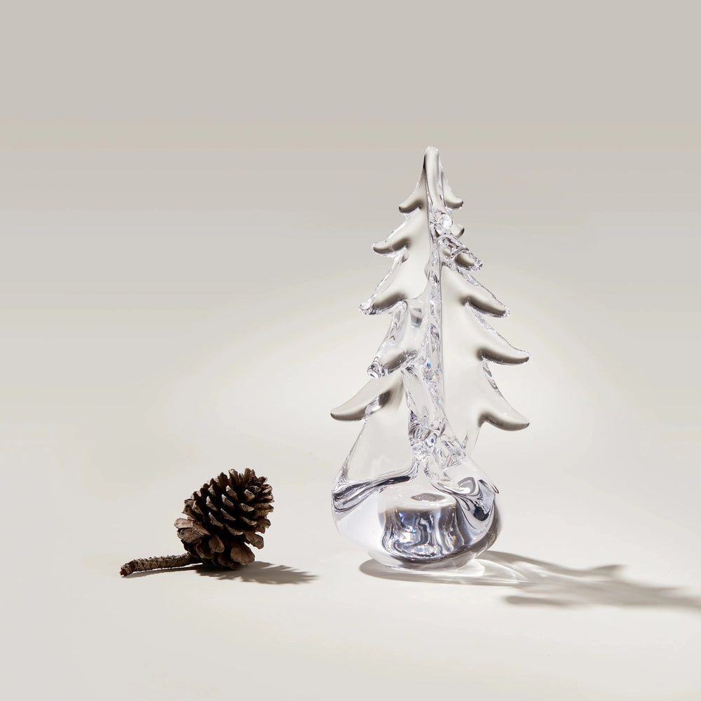 Vermont Twist Evergreen Tree