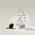 Vermont Twist Evergreen Tree