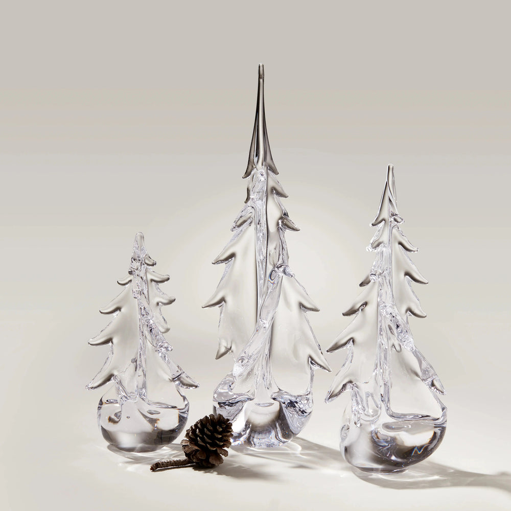 Vermont Twist Evergreen Tree