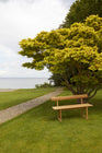 Banco Outdoor Bench